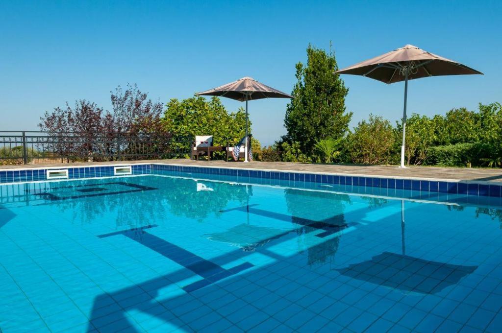 Olympus Pantheon Luxury Villas 렙토카리아 외부 사진